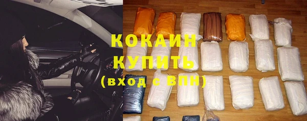 бошки Богданович