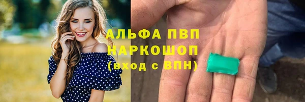 бошки Богданович