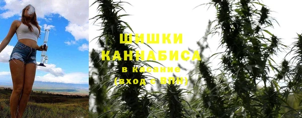 бошки Богданович